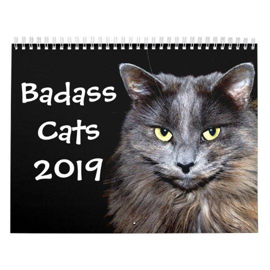 Funny Cats with Catitude Calendar | Zazzle.com