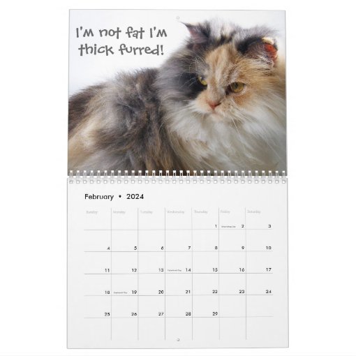 Funny Cats with Catitude Calendar | Zazzle