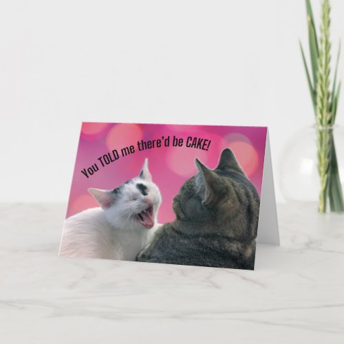 Funny Cats You TOLD me thered be CAKE Birthday Card