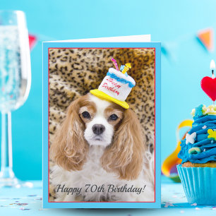 Funny Cavalier King Charles 70th Birthday Card