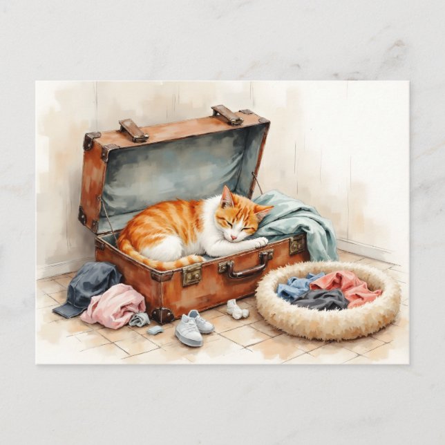 Funny Change of Address from Orange Cat Postcard (Front)