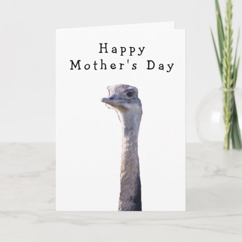 Funny Cheeky Bird Mothers Day Card