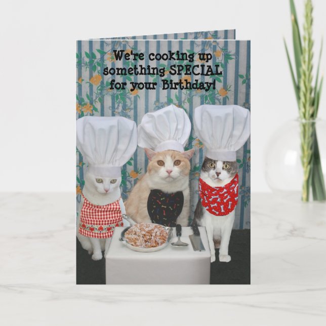 Funny Chef Cats Birthday Card (Front)