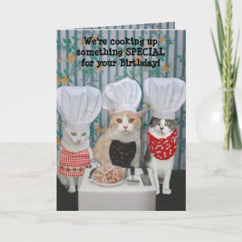 Funny Chef Cats Birthday Card by myrtieshuman at Zazzle
