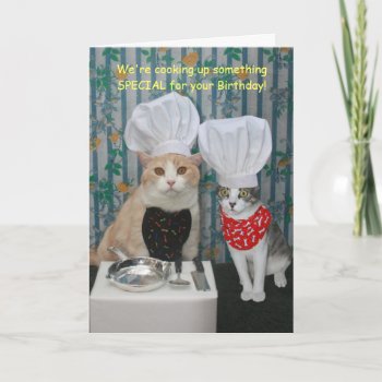Funny Chef Cats Birthday Card by myrtieshuman at Zazzle