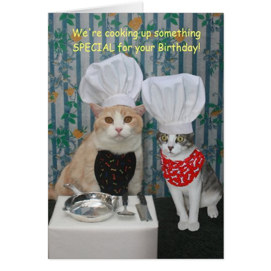 Funny Chef Cats Birthday Card | Zazzle.com