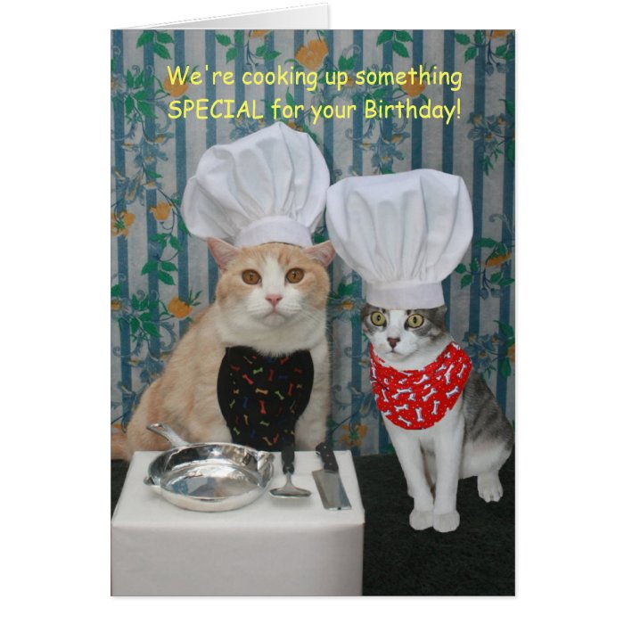 Funny Chef Cats Birthday Card