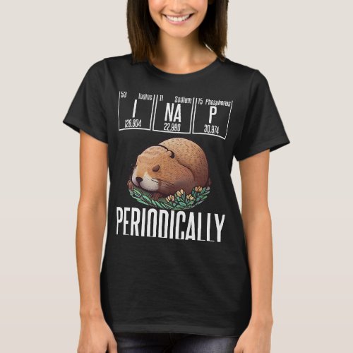 Funny Chemistry Science I Nap Periodically Groundh T_Shirt