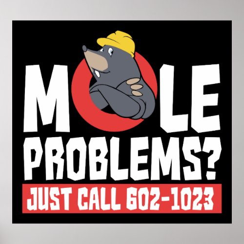 Funny Chemistry Teacher Mole Problem Gag Poster