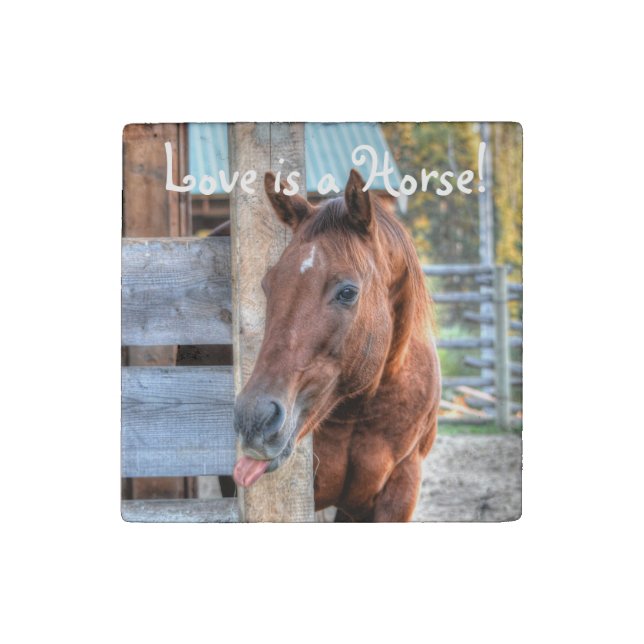 Funny Chestnut Horse Friend & Barn, Equine Photo Stone Magnet (Front)