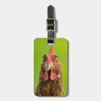 Funny Chicken - Address Luggage Tag