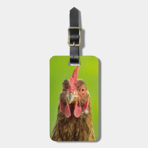 Funny Chicken _ Address Luggage Tag