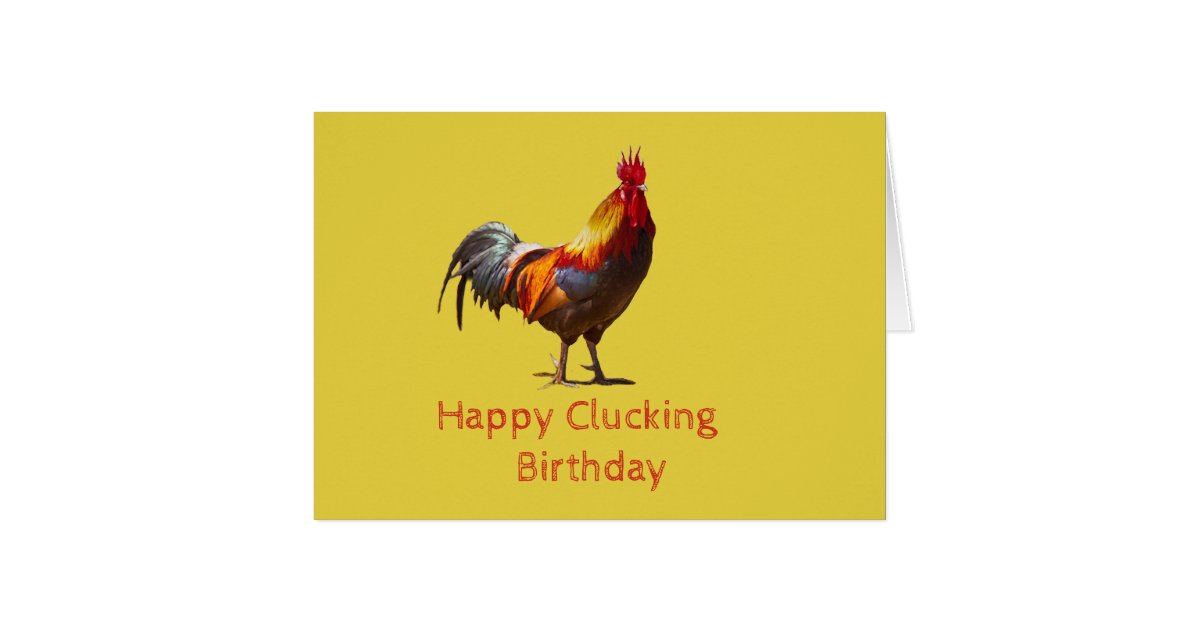 Funny Chicken Birthday Zazzle