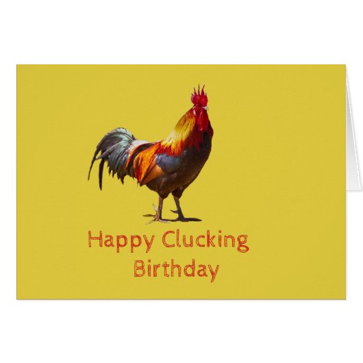 Funny Chicken Birthday Cards (Front Horizontal)