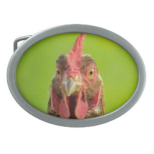 Funny Chicken Farm Animal Belt Buckle