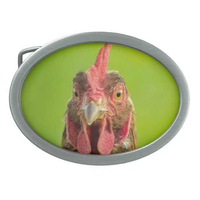 Funny Chicken Farm Animal Belt Buckle (Front)