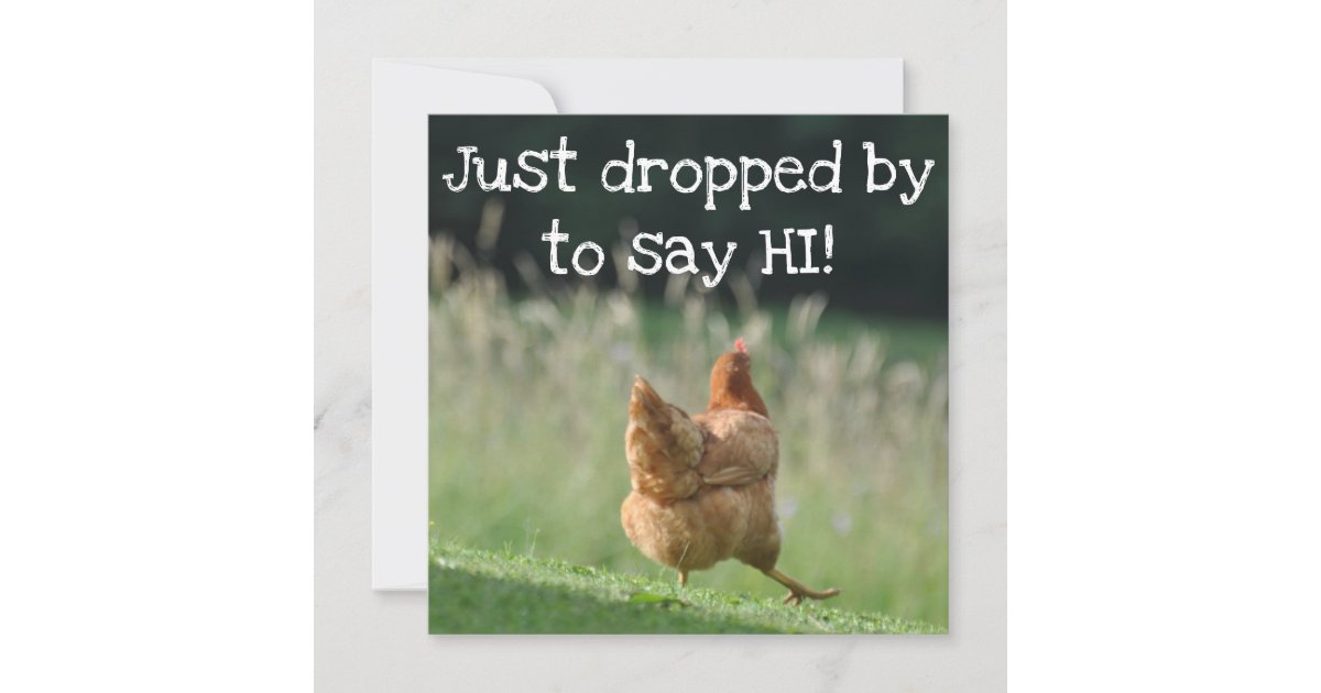 Funny Chicken Hello Quotes Say Hi Cute Farm Animal Card | Zazzle