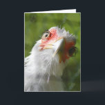 FUNNY CHICKEN MOTHER CLUCKER BIRTHDAY CARD<br><div class="desc">HAPPY BIRTHDAY MOTHER CLUCKER</div>