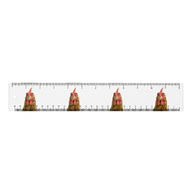 Funny Chicken Portrait on White Ruler | Zazzle