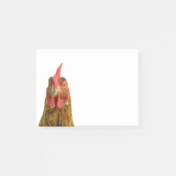 Funny Chicken Portrait Photo On White Post-it Notes by stdjura at Zazzle