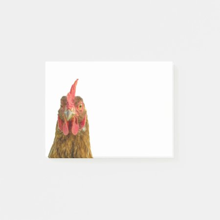 Funny Chicken Portrait Photo On White Post-it Notes