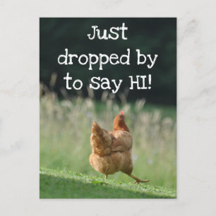Funny Chicken Say Hi Cute Farm Animal Photo Custom Postcard