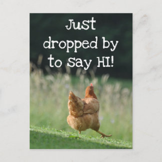 Funny Chicken Say Hi Cute Farm Animal Photo Custom Postcard