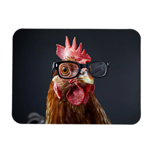 Funny Chicken Wearing Glasses Magnet