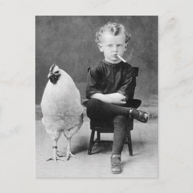 Funny Chicken With Smoking Kid Vintage Photo Postcard (Front)