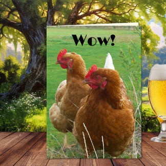 Funny Chicks Birthday Greeting Card