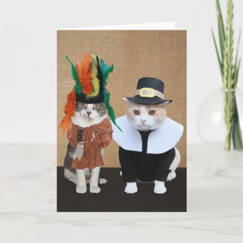 Funny Chief and Pilgrim Cat Lover Thanksgiving Holiday Card