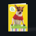 Funny Chihuahu Dog With Lisp Belated Birthday Card<br><div class="desc">Ooops! You forgot someone's birthday. You can make up for it with this cute card of a Chihuahua with a red sweater on, and her paws on a colorful gift box. The dog's tongue is sticking out and she looks a little stressed as she remembers that she forgot the recipient's...</div>