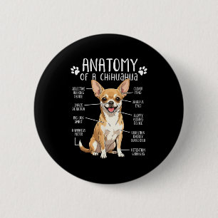 Funny Chihuahua Anatomy Of A Chihuahua Dog Owner P Button