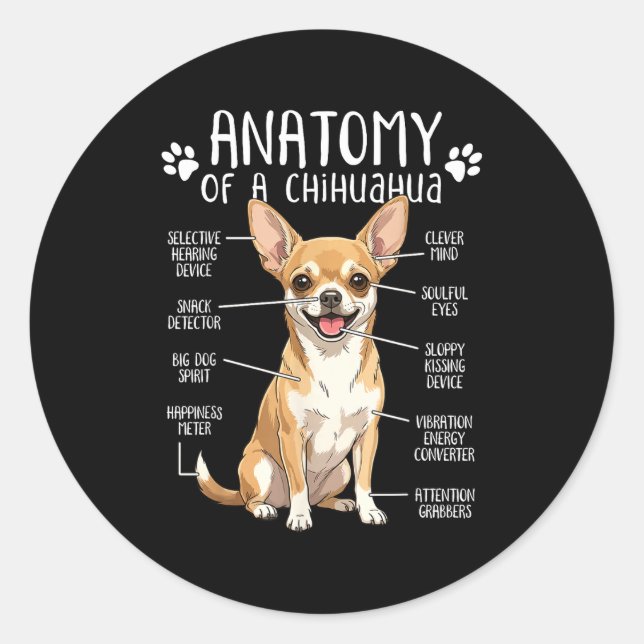 Funny Chihuahua Anatomy Of A Chihuahua Dog Owner P Classic Round Sticker (Front)