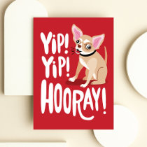 Funny Chihuahua Birthday Card