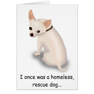 funny chihuahua card