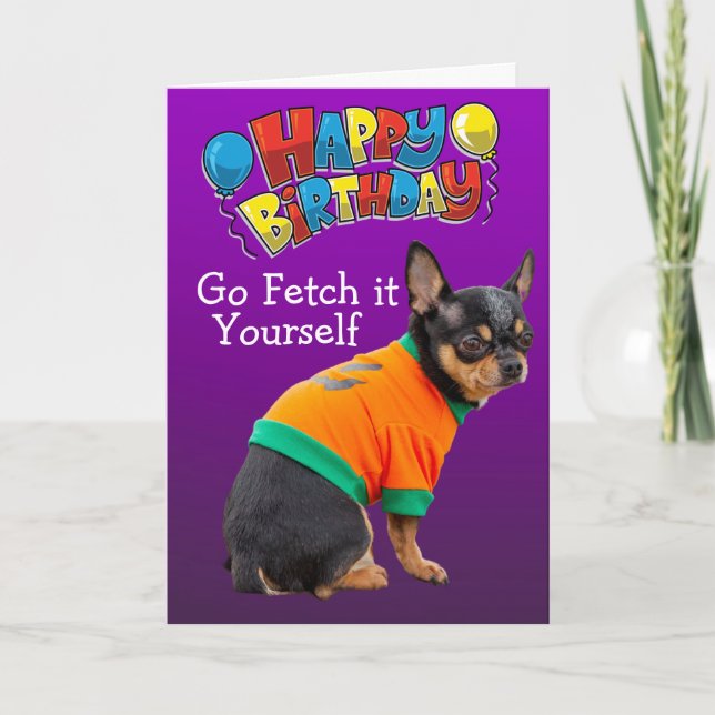 Funny Chihuahua dog birthday card (Front)