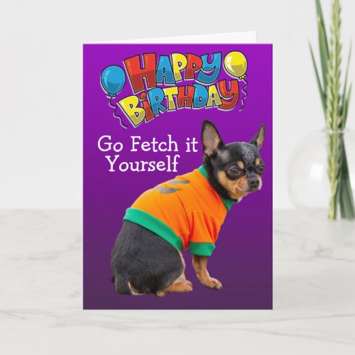 Funny Chihuahua dog birthday card