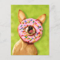 Funny Chihuahua Dog with Sprinkle Donut on Nose