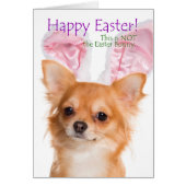 Funny Chihuahua Easter Card (Front)