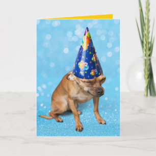 Funny Chihuahua In Birthday Party Hat Card