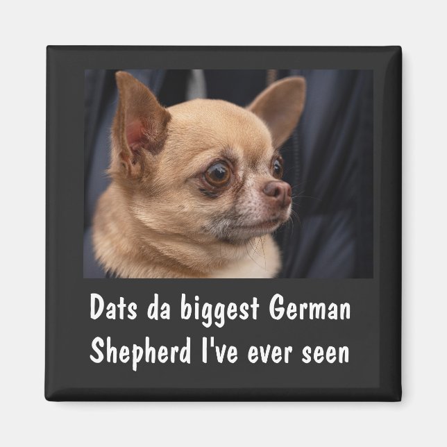 FUNNY CHIHUAHUA MAGNET (Front)