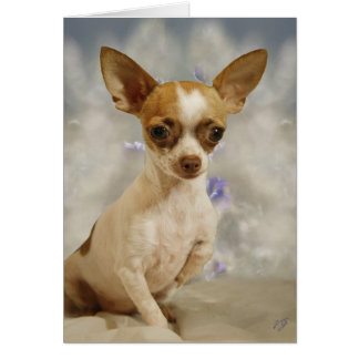 Funny Chihuahua Puppy (Cream/Brown) First Step Cards