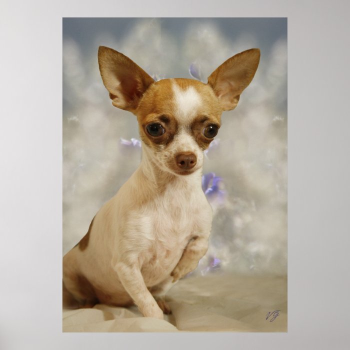 Funny Chihuahua Puppy (Cream/Brown) First Step Print