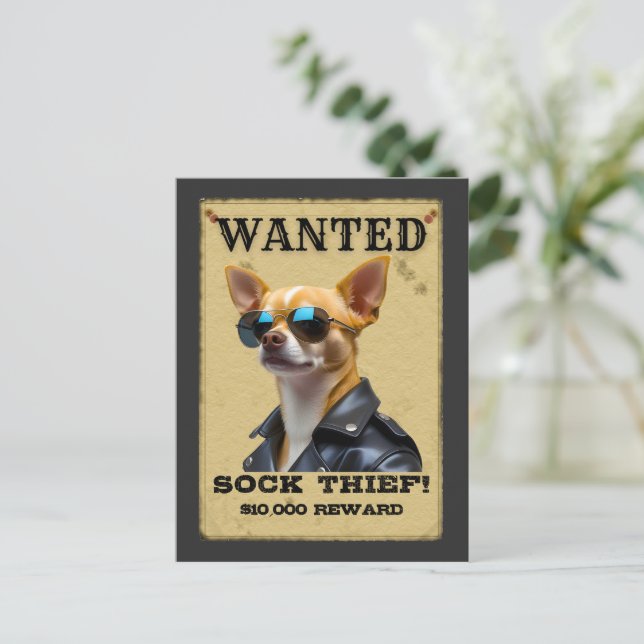 Funny Chihuahua WANTED Poster with Cool Sunglasses Postcard (Standing Front)