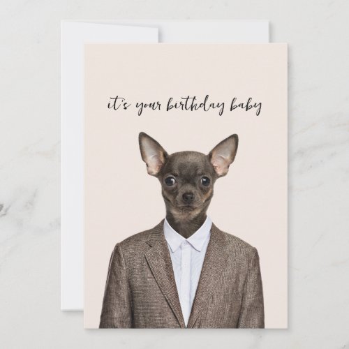 Funny chihuahua wearing suit holiday card