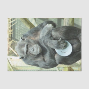 FUNNY CHIMP TISSUE PAPER