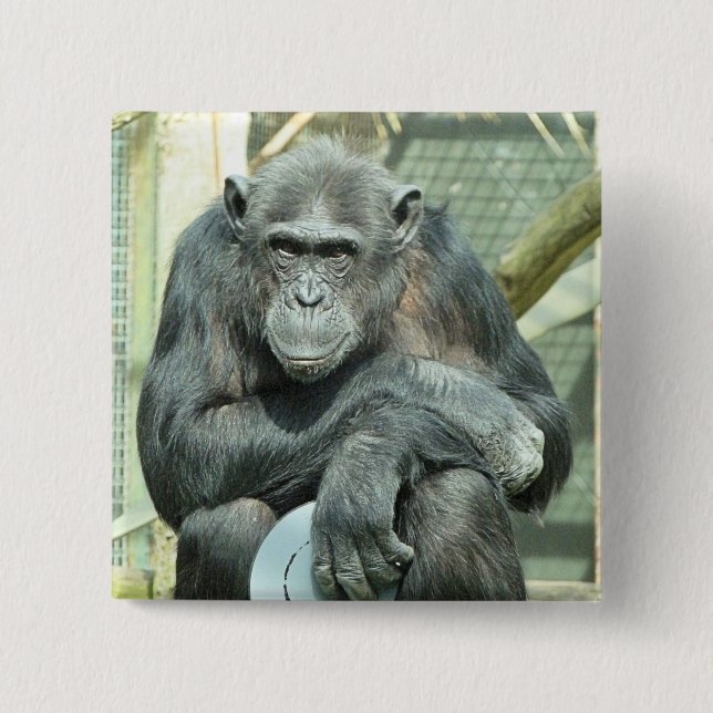 FUNNY CHIMPANZEE BUTTON (Front)