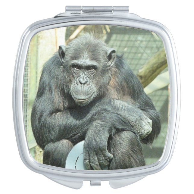 FUNNY CHIMPANZEE COMPACT MIRROR (Front)