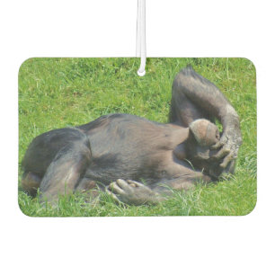 Funny Chimpanzee Photo Air Freshener